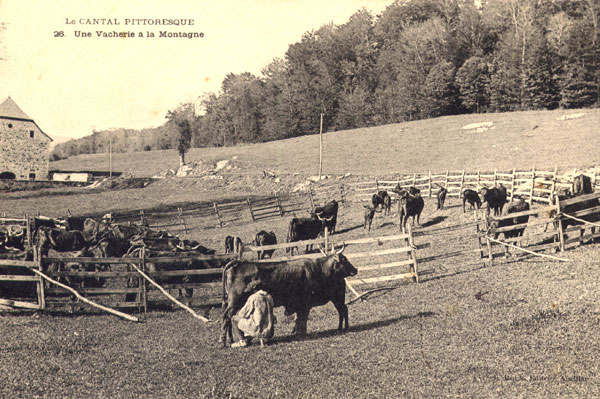 L’indivision des montagnes à partir de 1875