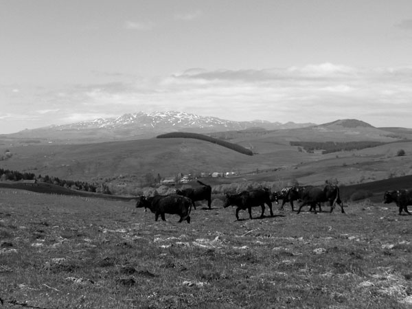 En route pour la montade en 1912.