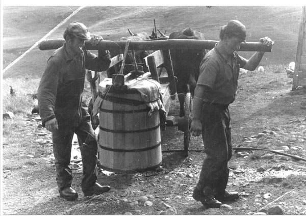Le transport du lait