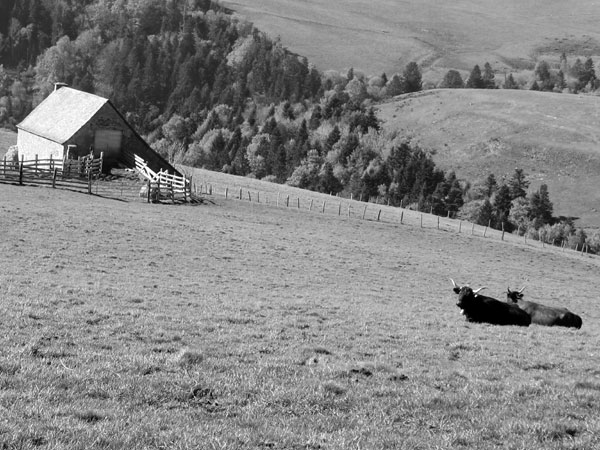 Les activités saisonnières sur le Massif cantalien