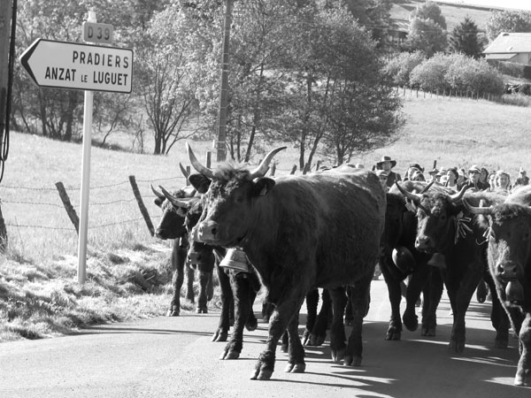 La montade, un voyage à pattes et une fête