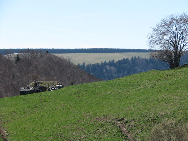 La saison d’estive sur la montagne de Vèze