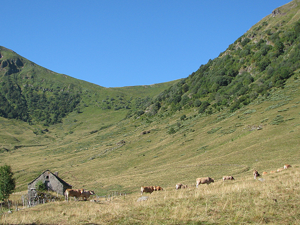 Buron du Col de Cabre