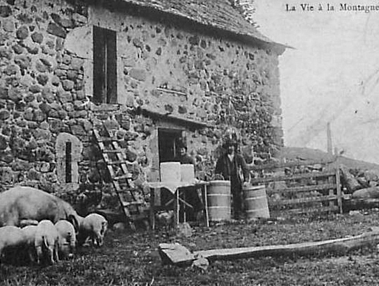 La remise en cause d’un modèle pastoral