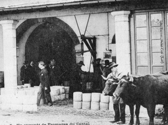 Avatars de la définition de la fourme au début du XXème siècle