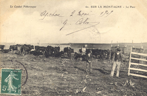 Du mouton à la vache 