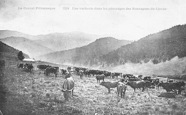 La montée vers l’estive