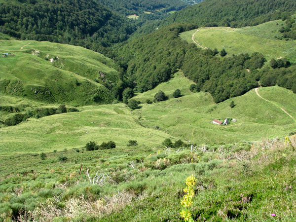 Sur les montagnes Cantaliennes